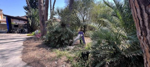 1680m² Land in Rome, Italy No. 88865 19