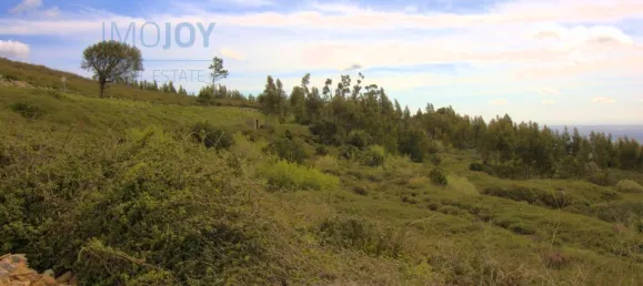 قطعة أرض في Monchique, Portugal رقم 83212 12