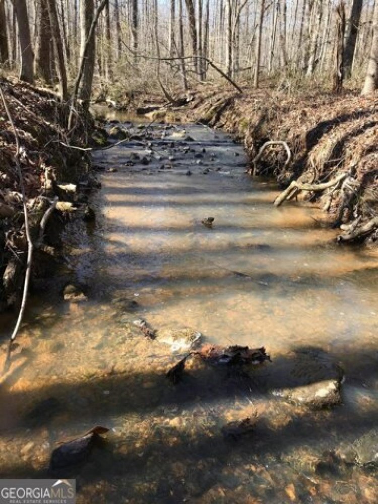  Land in Douglasville, USA No. 481699