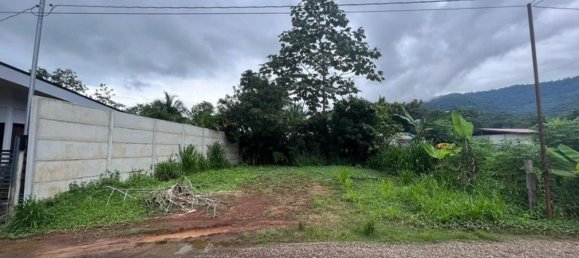 Terrain à Puerto Jimenez, Costa Rica No. 1473 5