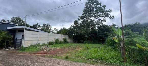 Terrain à Puerto Jimenez, Costa Rica No. 1473 6