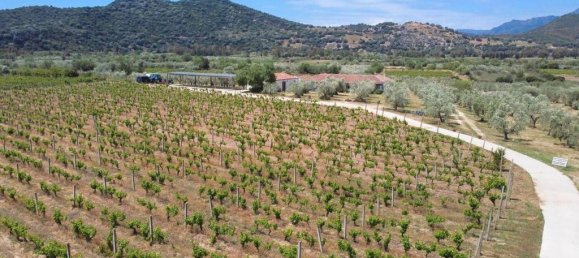 11 bedrooms House in Galtellì, Italy No. 54600 8