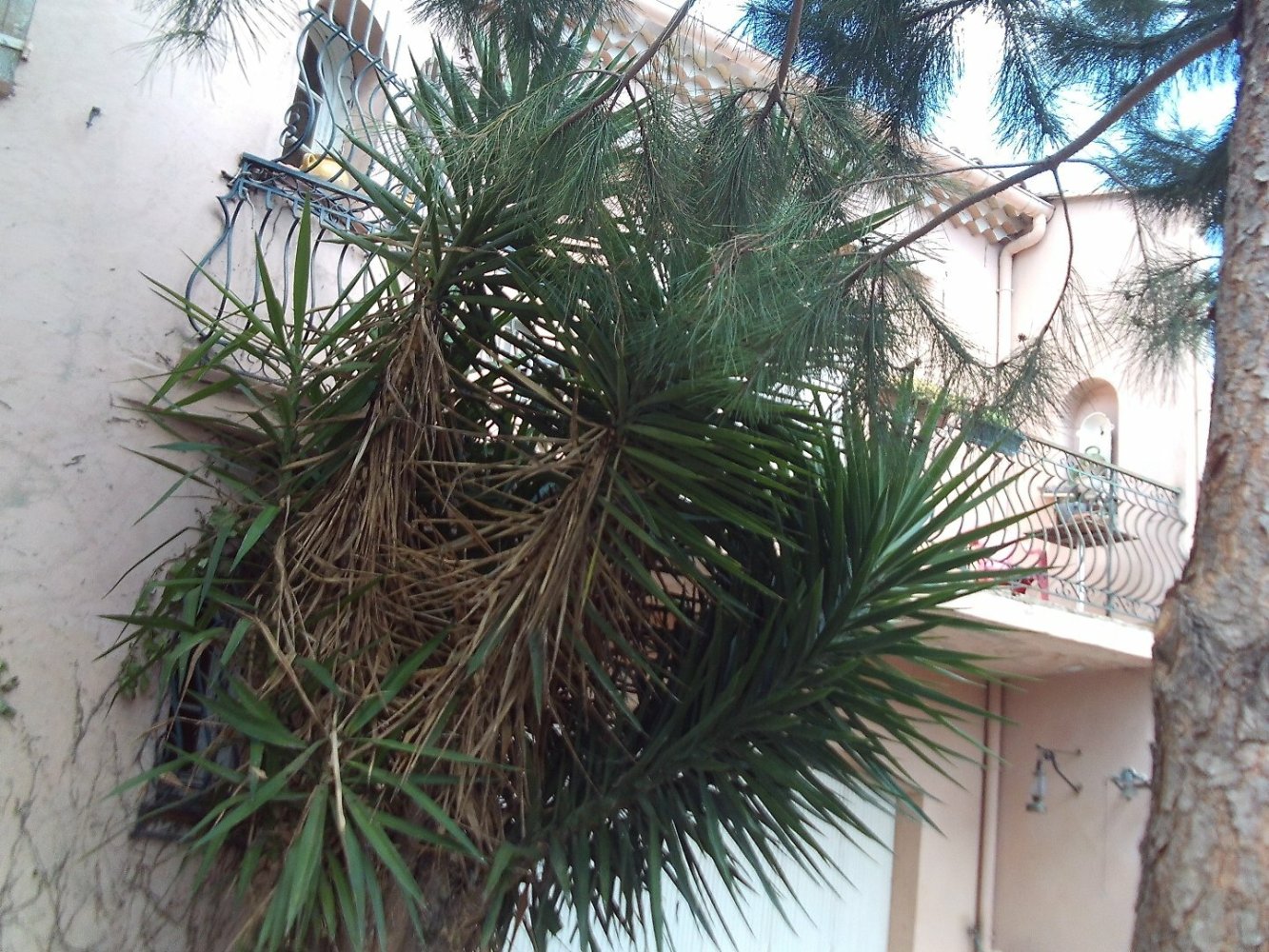 3 غرف نوم فيلا في Beziers, France رقم 354297