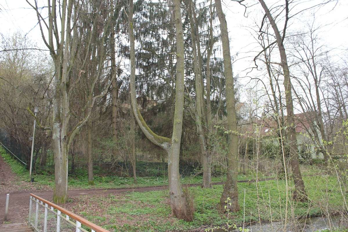 Земельный участок 2200м² в Вальдек-Франкенберг, Германия № 162527