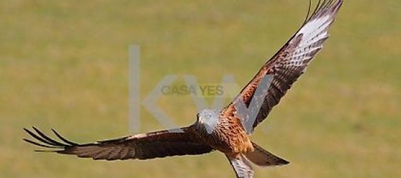 8 Schlafzimmer Haus in Beja, Portugal, Nr. 41708 41