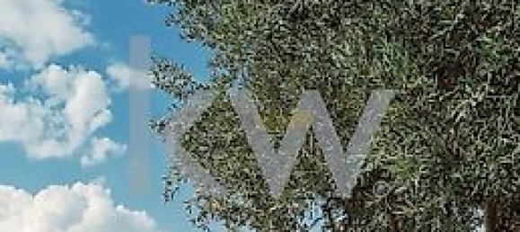 8 Schlafzimmer Haus in Beja, Portugal, Nr. 41708 35