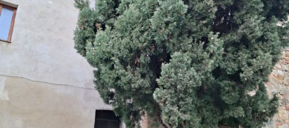 5-Zimmer Haus in Colle di Val d'Elsa, Italy, Nr. 307644 6