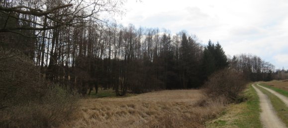 Grundstück in Vitis, Austria, Nr. 134646 2