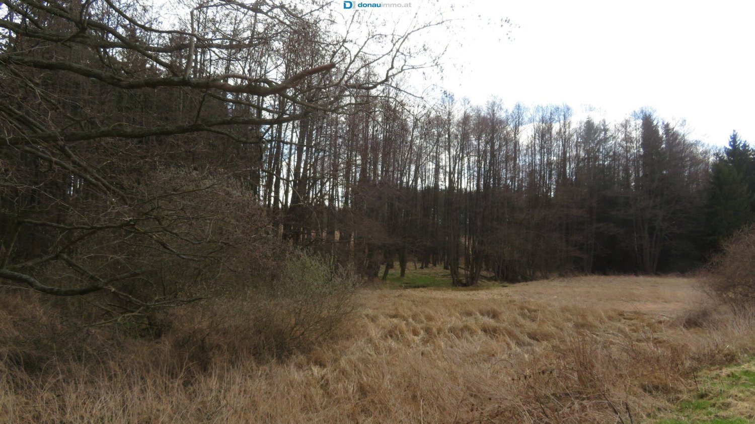 Grundstück in Vitis, Austria, Nr. 134646