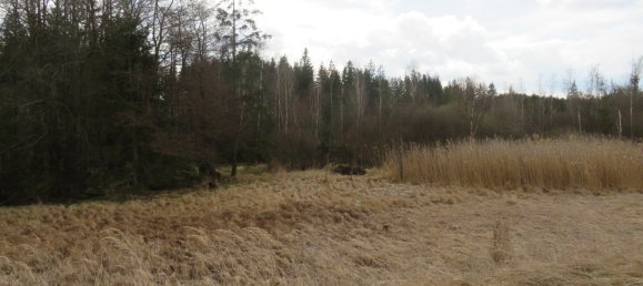 Grundstück in Vitis, Austria, Nr. 134646 7