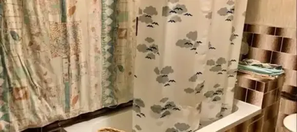 4 rooms Townhouse in Vogtlandkreis, Germany No. 30308 11