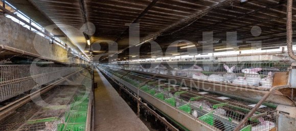 5 rooms Warehouse in Padua, Italy No. 281458 6