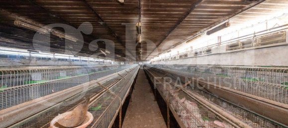 5 rooms Warehouse in Padua, Italy No. 281458 9