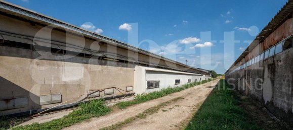 5 rooms Warehouse in Padua, Italy No. 281458 7
