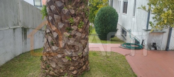 4 chambres Maison à Braga, Portugal No. 24739 28