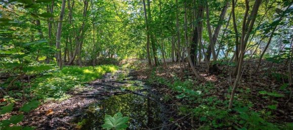 4 bedrooms House in British Columbia, Canada No. 1284 11