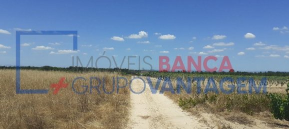 7500m² Land in Alpiarca, Portugal No. 62217 4