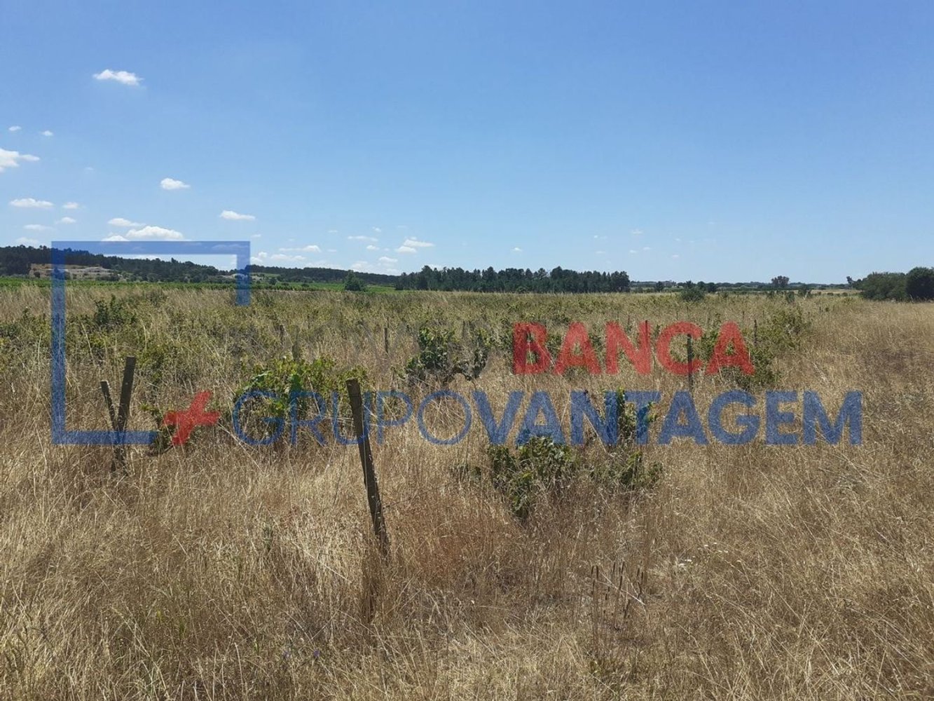 7500m² Land in Alpiarca, Portugal No. 62217
