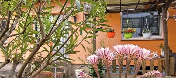 Bungalow de 3 dormitorios en Wittenberg, Germany No. 330571 2