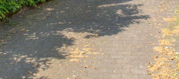 Hôtel à Neckar-Odenwald-Kreis, Germany 1060m² No. 369215 6