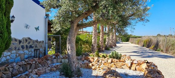 6 bedrooms House in El Realengo, Spain No. 185215 43