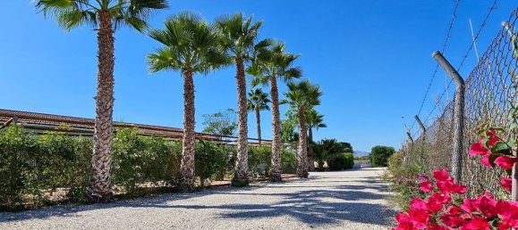 6 bedrooms House in El Realengo, Spain No. 185215 44