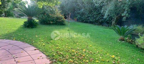 4 rooms Villa in Velletri, Italy No. 42003 6