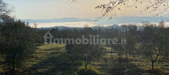 3 bedrooms House in Castelnuovo di Val di Cecina, Italy No. 83795 2