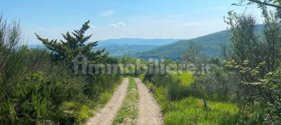 3 bedrooms House in Castelnuovo di Val di Cecina, Italy No. 83795 8