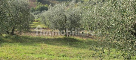 3 bedrooms House in Castelnuovo di Val di Cecina, Italy No. 83795 10