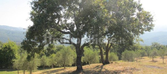 3 bedrooms House in Castelnuovo di Val di Cecina, Italy No. 83795 9