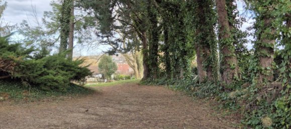 3 Schlafzimmer Haus in Saint-Germain-des-Fosses, France, Nr. 203773 24