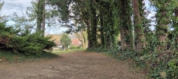 3 Schlafzimmer Haus in Saint-Germain-des-Fosses, France, Nr. 203773 13