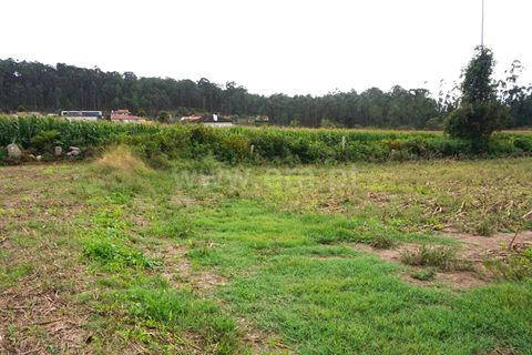  Land in Barcelos, Portugal No. 205216