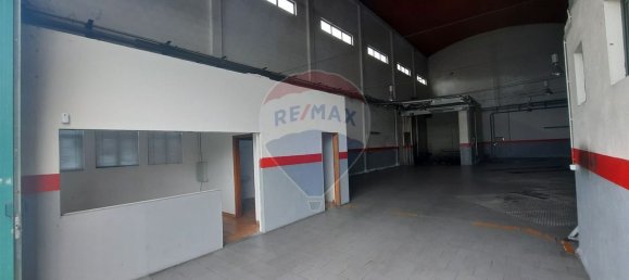 330m² Warehouse in Anca, Portugal No. 56058 5