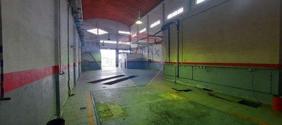 330m² Warehouse in Anca, Portugal No. 56058 2