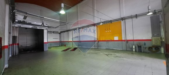 330m² Warehouse in Anca, Portugal No. 56058 10