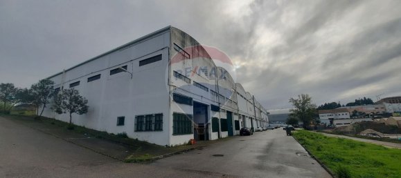 330m² Warehouse in Anca, Portugal No. 56058 3