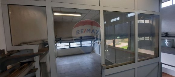 330m² Warehouse in Anca, Portugal No. 56058 6