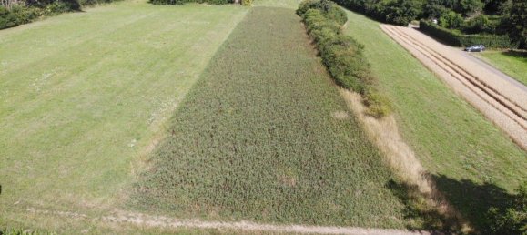 Grundstück in Böblingen, Germany, Nr. 282400 3