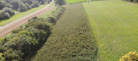 Grundstück in Böblingen, Germany, Nr. 282400 4