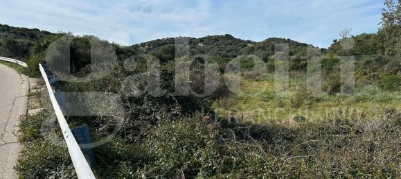 Terrain à Santa Teresa Gallura, Italy 6705m² No. 47630 10