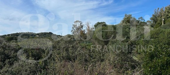 Terrain à Santa Teresa Gallura, Italy 6705m² No. 47630 8