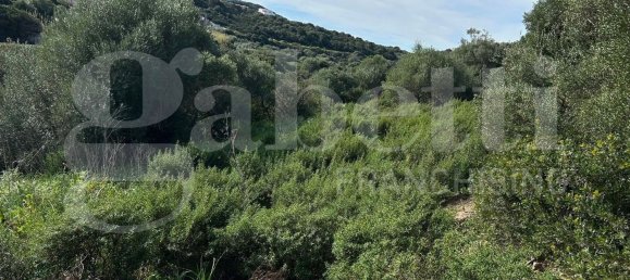 Terrain à Santa Teresa Gallura, Italy 6705m² No. 47630 5