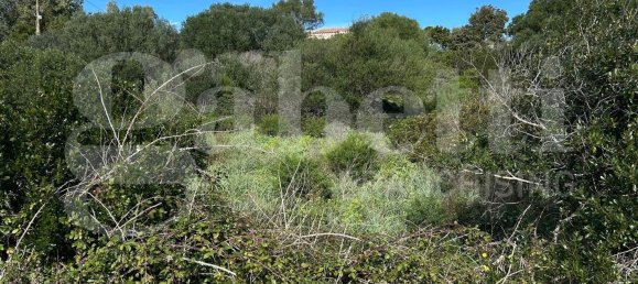 Terrain à Santa Teresa Gallura, Italy 6705m² No. 47630 7