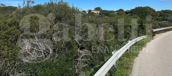 Terrain à Santa Teresa Gallura, Italy 6705m² No. 47630 2