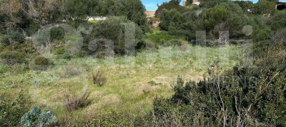 Terrain à Santa Teresa Gallura, Italy 6705m² No. 47630 11