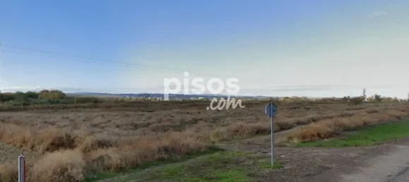 Grundstück in Zaragoza, Spain, Nr. 25677 2