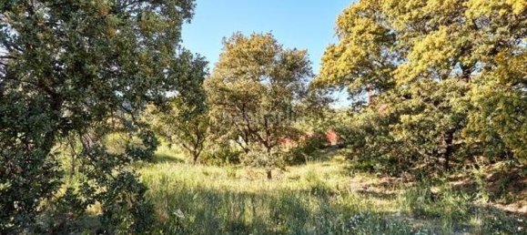 Земельный участок 8472м² в Сан-Себастьян-де-лос-Рейес, Испания № 84469 7