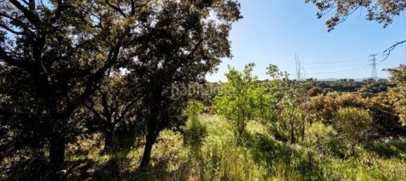 Земельный участок 8472м² в Сан-Себастьян-де-лос-Рейес, Испания № 84469 8